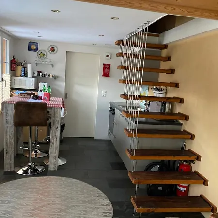 Dorner Rustic Apartment Gsteigwiler